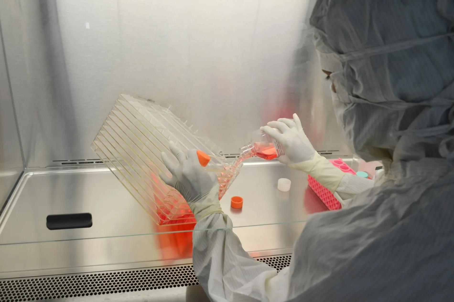Scientist in protective clothing working in a biosafety cabinet