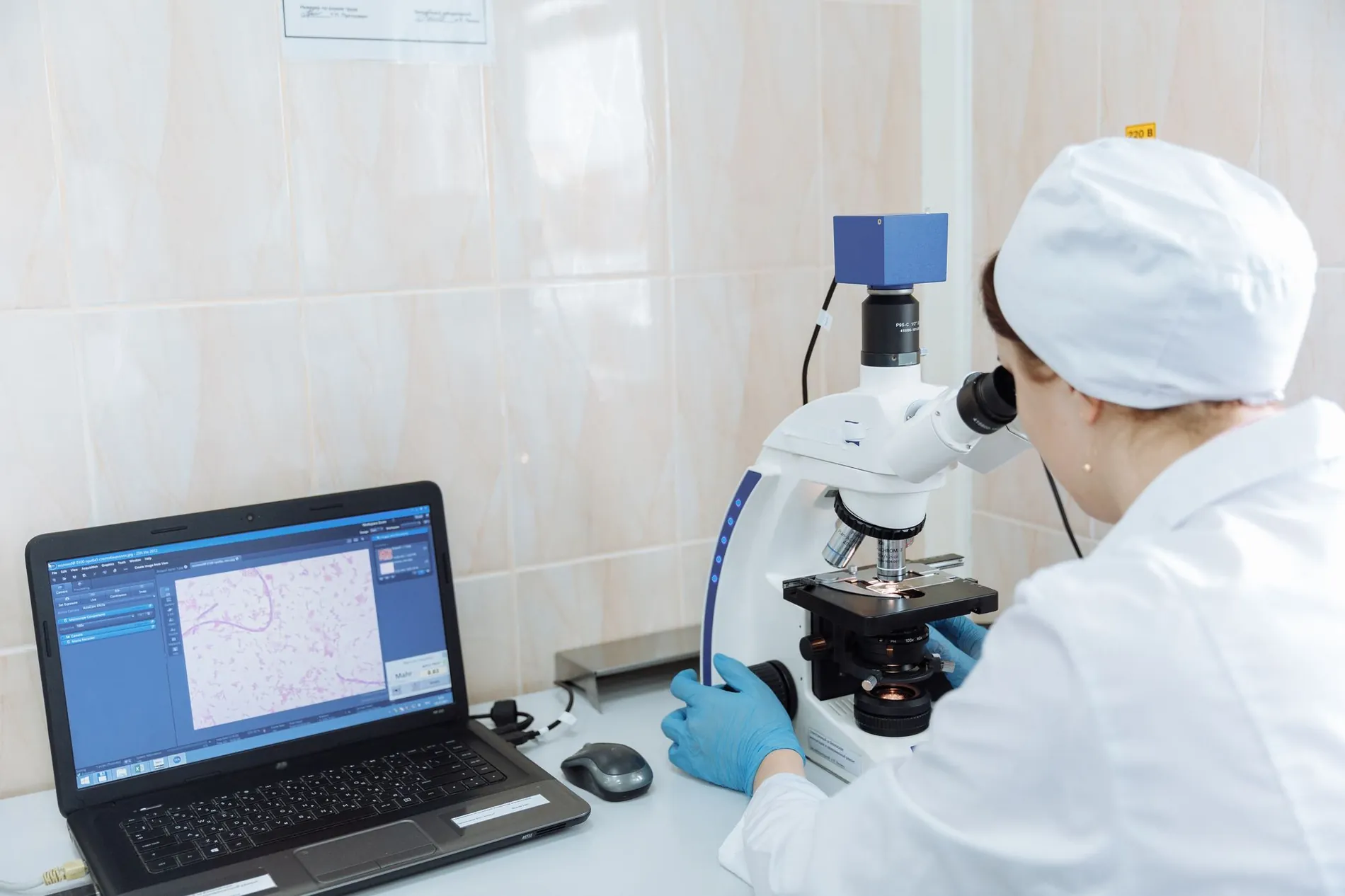 Researcher analysing results on a laptop